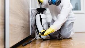 Best Pest Prevention Services  in Boyce, LA